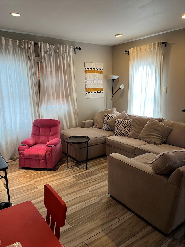 living room with wood-type flooring