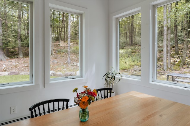 dining area featuring a wealth of natural light and a baseboard radiator