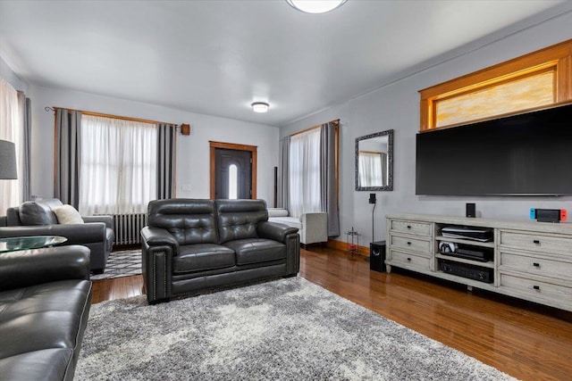 living room with dark hardwood / wood-style floors