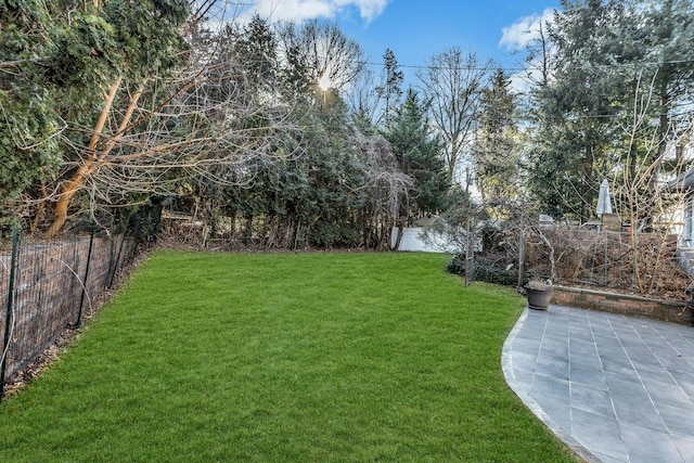 view of yard featuring a patio