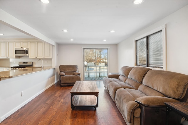 living room featuring dark wood-type flooring and sink