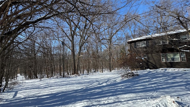 view of snowy yard