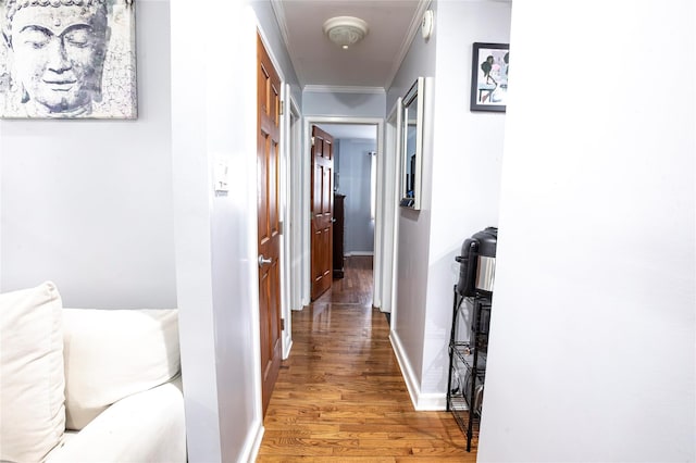 hallway with hardwood / wood-style floors and ornamental molding