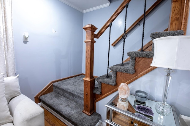 staircase featuring crown molding and hardwood / wood-style floors