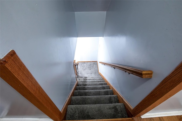 stairs with carpet flooring