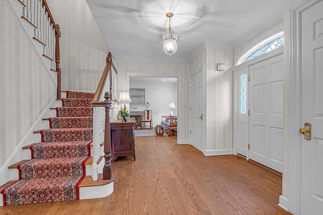 foyer entrance featuring wood-type flooring and crown molding