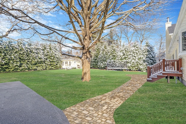 view of yard with a trampoline