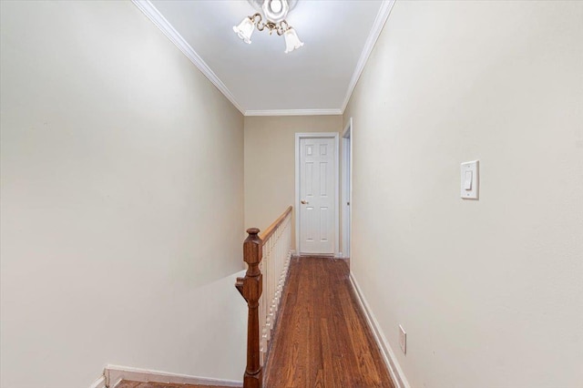 hall featuring dark wood-type flooring and ornamental molding