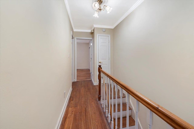 hall featuring ornamental molding and dark wood-type flooring