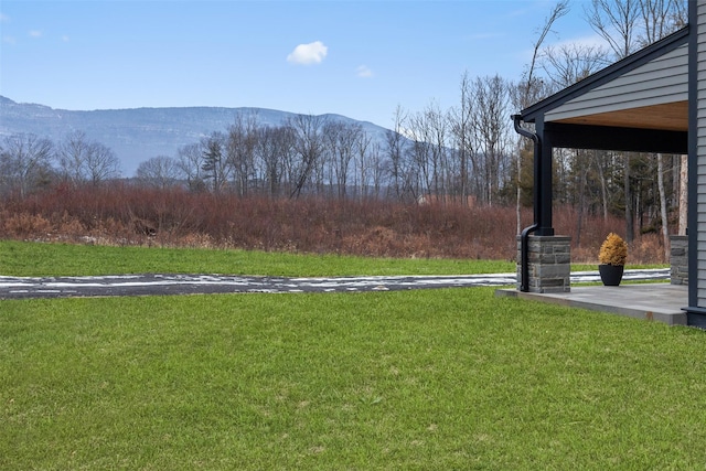 view of yard featuring a mountain view