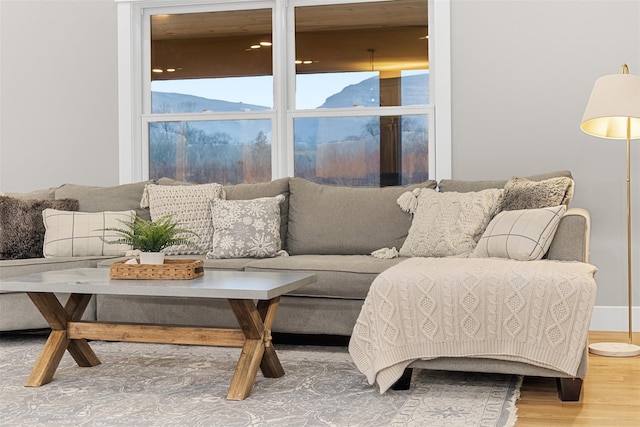 living room with wood-type flooring and a mountain view