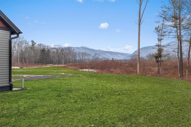 view of yard featuring a mountain view