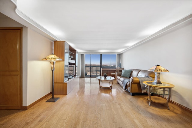 living room with light hardwood / wood-style flooring and expansive windows