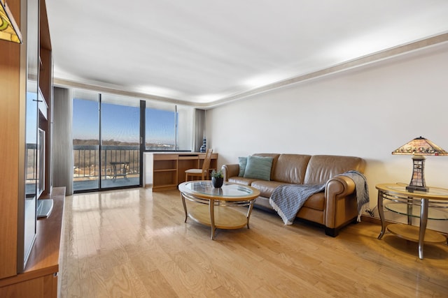 living room featuring light hardwood / wood-style floors and a wall of windows