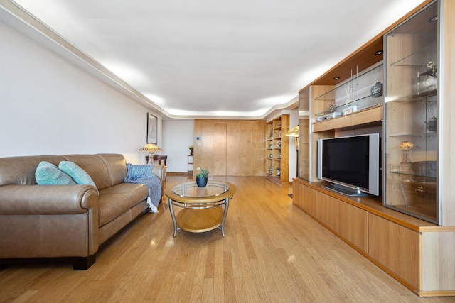 living room featuring light wood-type flooring