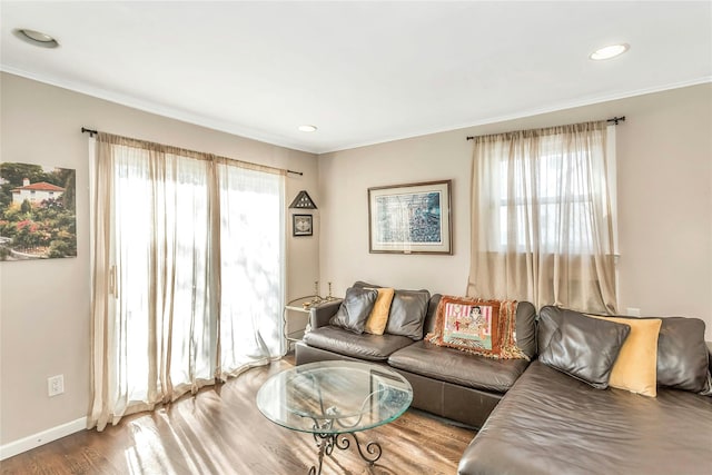 living room with hardwood / wood-style flooring and plenty of natural light