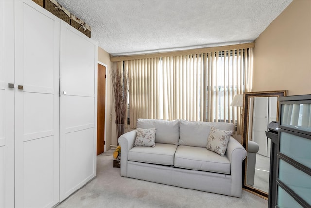 carpeted living room with a textured ceiling