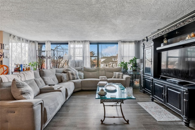 living room with dark hardwood / wood-style floors and a textured ceiling