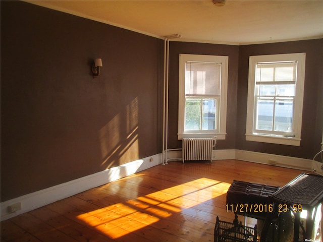 spare room with radiator heating unit and light hardwood / wood-style floors