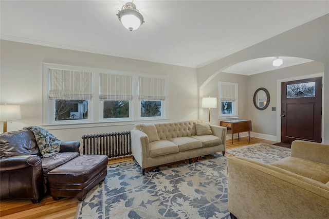 living room with crown molding, radiator heating unit, and hardwood / wood-style flooring