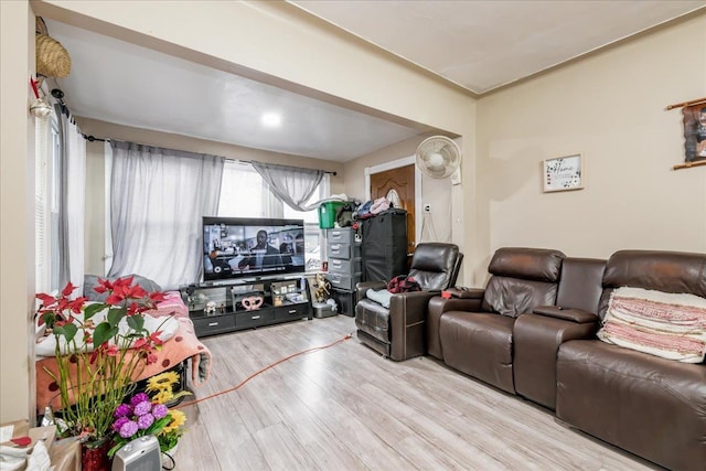 living room featuring hardwood / wood-style floors