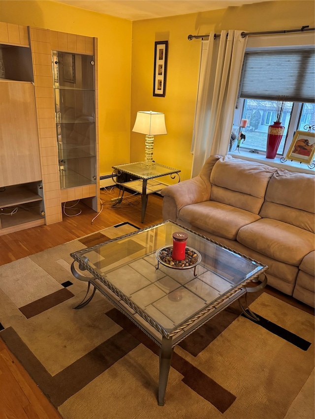 living room featuring hardwood / wood-style floors