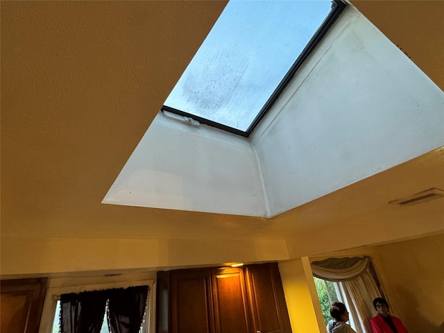 room details with a skylight