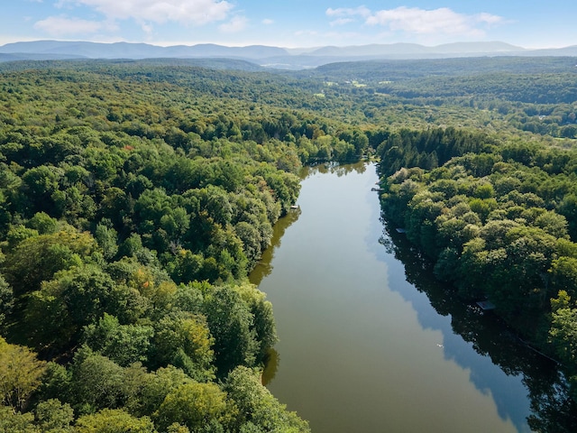 drone / aerial view featuring a water and mountain view