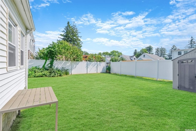 view of yard featuring a shed