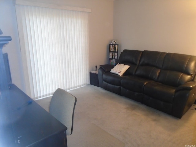 living room featuring carpet