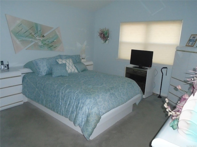 bedroom with ceiling fan and dark carpet