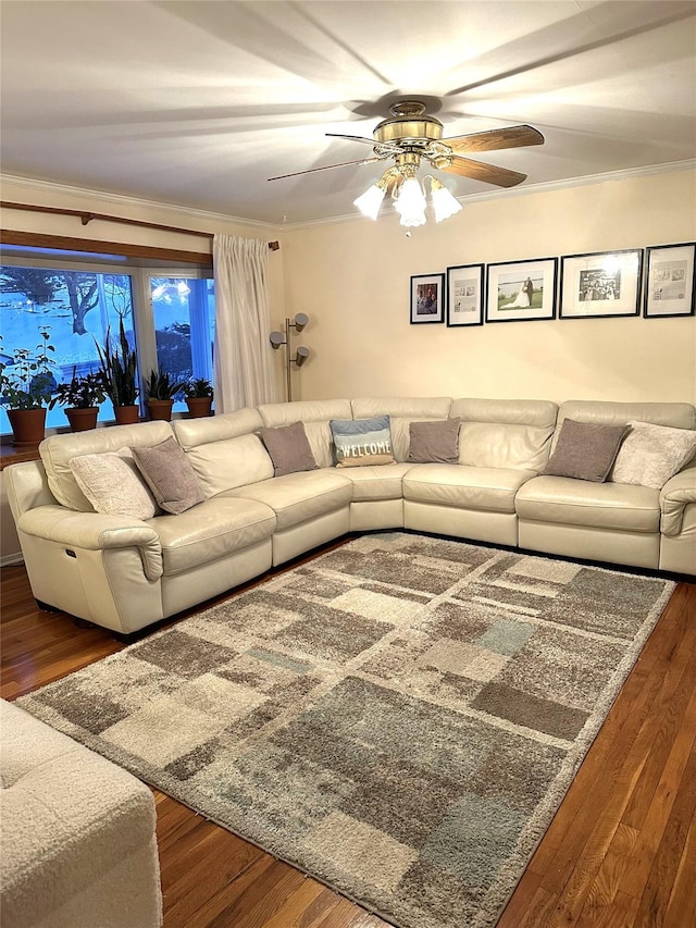 living room featuring ceiling fan, dark hardwood / wood-style flooring, and crown molding