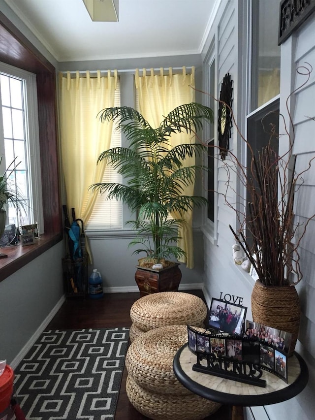 sitting room featuring a wealth of natural light, ornamental molding, and dark hardwood / wood-style floors