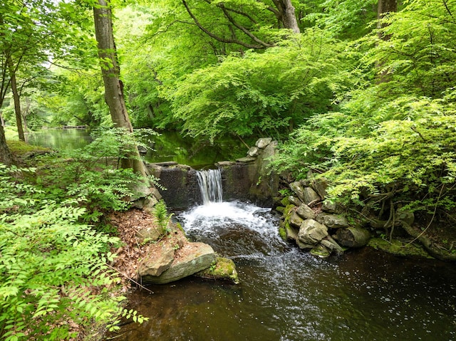 exterior view of a wooded view