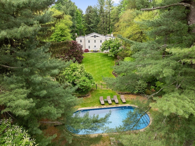 view of subject property with a pool area and a heavily wooded area