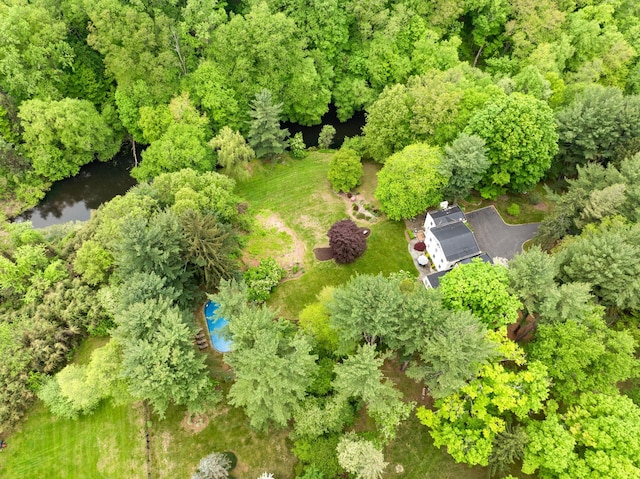 drone / aerial view