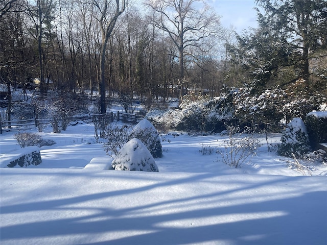 view of snowy yard