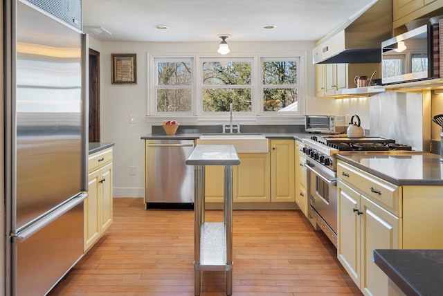 kitchen with a wealth of natural light, light wood-type flooring, and appliances with stainless steel finishes