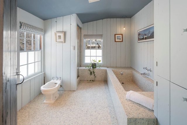 bathroom featuring a bidet, a tub to relax in, and a healthy amount of sunlight