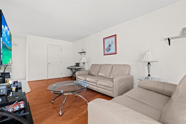 living room with hardwood / wood-style flooring