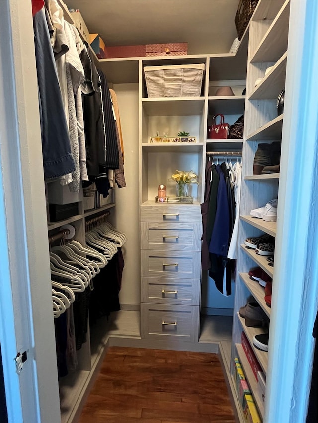 spacious closet with dark hardwood / wood-style floors