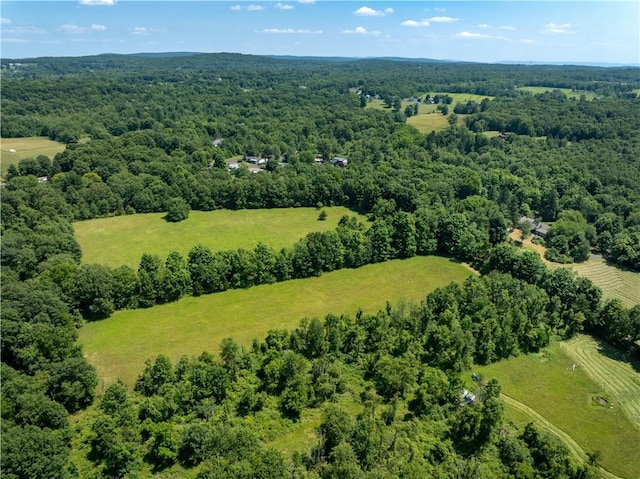 birds eye view of property with a rural view