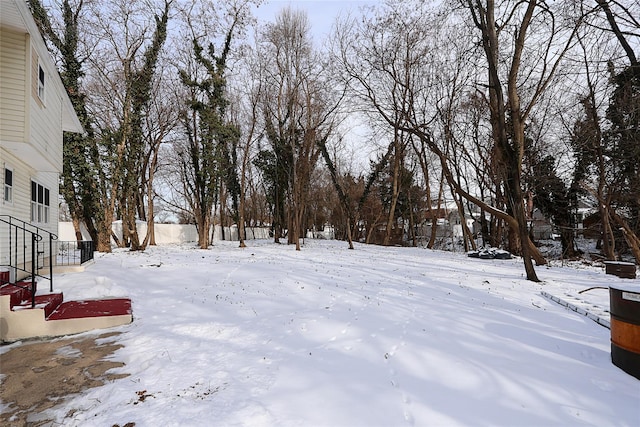 view of snowy yard