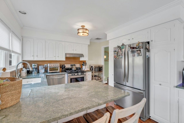 kitchen featuring under cabinet range hood, a sink, white cabinets, appliances with stainless steel finishes, and crown molding