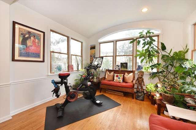 exercise area featuring light hardwood / wood-style floors and vaulted ceiling