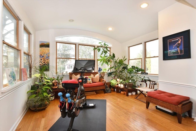 workout area with vaulted ceiling, a healthy amount of sunlight, and light wood-type flooring