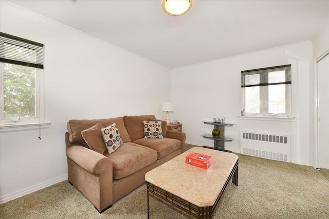 carpeted living room featuring radiator