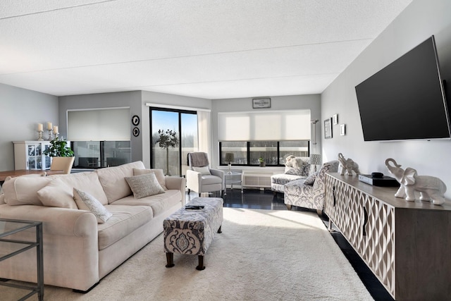 living room featuring a textured ceiling and carpet