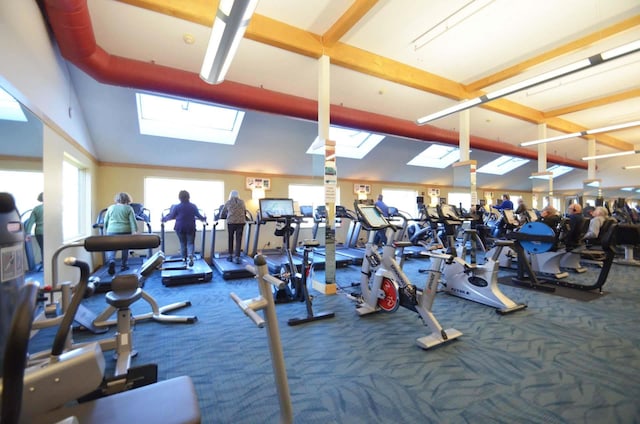 gym featuring a skylight, a healthy amount of sunlight, carpet, and a towering ceiling