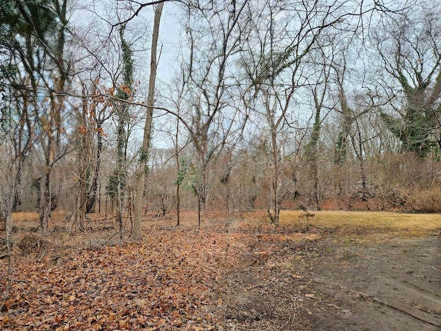 view of landscape